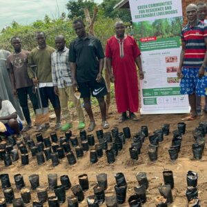 Community nursery setup in central Gonja District savannah region