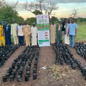 Community nursery setup in central Gonja District savannah region